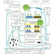 food cultivation system