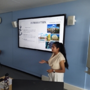 Presentatie afstuderen Saranki